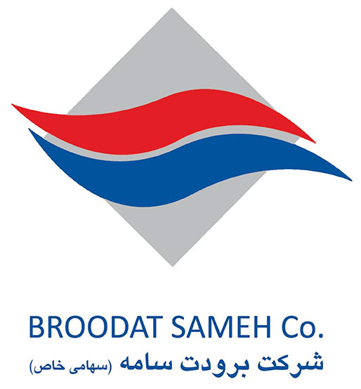 bs logo